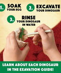Totally Dig It Up Dinosaur Eggs Excavation Kit For Kids Hands On Paleontology Adventure Learn To Identify Dinosaurs With Excavation Guide Classroom Friendly STEM Activity Family Fun, kids removing green dinosaur from clay egg