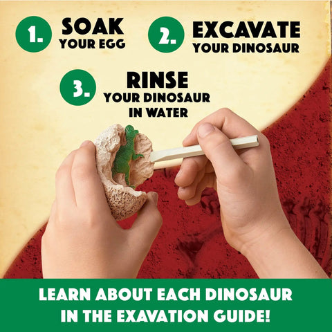 Totally Dig It Up Dinosaur Eggs Excavation Kit For Kids Hands On Paleontology Adventure Learn To Identify Dinosaurs With Excavation Guide Classroom Friendly STEM Activity Family Fun, kids removing green dinosaur from clay egg