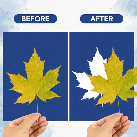 Dope Sun Print Cyanotype Kit With 30 Sheets Of Paper And Acrylic Panel showing before and after leaf print results.