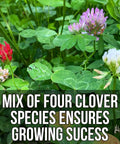 Four Clover Combo Blend Perennial Food Plot Seed 15 Lb EcoPack with green leaves and blooming flowers