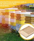 Colorful beehives in apiary with inset of Two Pack Ten Frame Beehive Slatted Rack Kit For Beekeepers, pine wood frame.