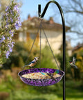 Outdoor 11 Inch Metal Hanging Bird Bath And Feeder With Colorful Purple And Blue Bowl displayed on a black chain in a garden.