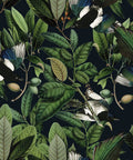 Tropical Jungle Leaves Peel And Stick Wallpaper 17.7 By 118 Inches Vinyl Self Adhesive Green Floral Wall Covering With Exotic Birds And Fruits