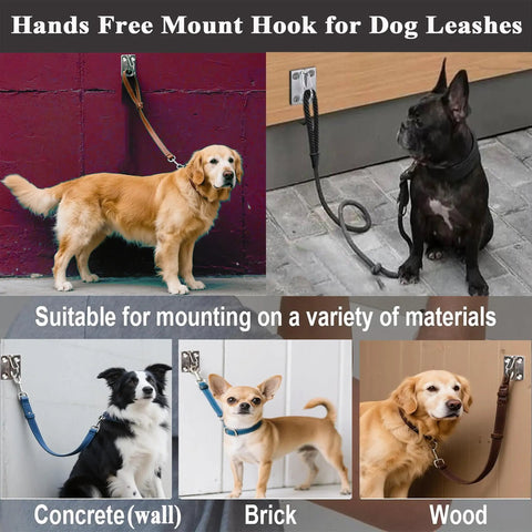 Heavy Duty Stainless Steel Dog Tie Out Wall Hook Set Rustproof Indoor Outdoor Leash Mount Holds Up To 500 Lbs Wall Mounted Leash Anchor 2 Pack for Secure Parking