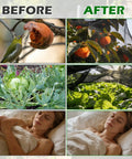 Stronger Beefy Garden Mesh Netting For Plants Vegetables Fruits And Flowers Heavy Duty 10x20 Ft Black PPT Nano Bug Bird Net Screen