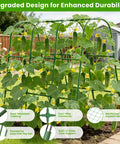 U Shape Garden Trellis For Raised Beds And Climbing Plants, Rustproof Metal Arch With Stainless Steel Core, Outdoor Vegetables Trellis supporting cucumbers