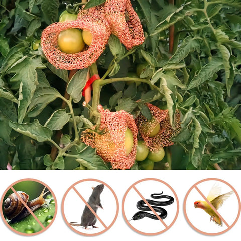 Copper Mesh For Rodent Control 5 Inches By 48 Inches Woven Pure Copper Wire Mesh protecting tomatoes in garden