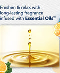 Coastal Sunshine Citrus PlugIns Air Freshener Starter Kit With 1 Warmer And 1 Refill, Scented Oil, citrus splash image
