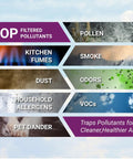 Image showing types of pollutants filtered by Replacement Filter O For A230 And A231 Air Purifiers: pollen, smoke, odors, VOCs, and allergens.