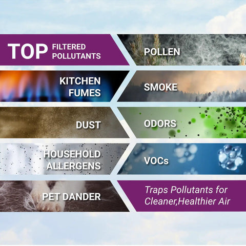 Image showing types of pollutants filtered by Replacement Filter O For A230 And A231 Air Purifiers: pollen, smoke, odors, VOCs, and allergens.