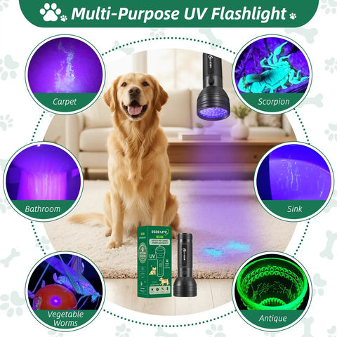 Ultimate UV Black Light Flashlight With 51 LEDs And 395 Nm Ultraviolet Beam For Pet Stains And Urine Detection Bed Bug Finder On Rugs And Carpets Great For Spotting Hidden Spills Like A Stain Hunter And Dirt