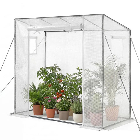 Walk In Greenhouse For Outdoors With Windows PE Cover Roll Up Zipper Door 76.8 Inches Long 30.3 Inches Wide 66.1 Inches High Portable Backyard Garden House Kit shown with potted plants inside