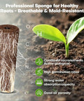 Professional hydroponic sponge illustrating root growth and benefits like high germination, micronutrients, and air porosity.