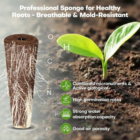 Professional hydroponic sponge illustrating root growth and benefits like high germination, micronutrients, and air porosity.