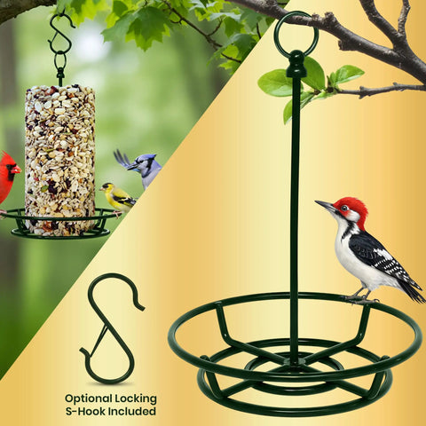 Rugged Cylinder Bird Feeder Holder For Outdoor Hanging Holds Bird Seed Cylinders Logs And Birdseed Cakes Up To Six Inch Diameter With O Ring And Locking S Hook Includes Mounting Accessories holding seed cylinder and birds