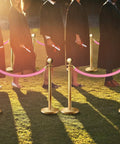 Six Pieces Velvet Stanchion Rope Set With Gold Hooks 4 Feet Each Pink Carpet Ropes For Movie Theaters Hotels And Red Carpet Events That Deliver Party Ready Crowd Control Barriers With Elegant Easy Setup in use at outdoor ceremony