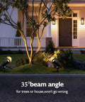 Low Voltage LED Landscape Spotlights 12V Garden Lights With Connectors 7.5W 3000K Warm White Outdoor Lights For House Waterproof Yard Light For Trees And Pathways 4 Pack Easy Install Durable Weatherproof lighting up a tree in front of a house with a 35-degree beam angle.