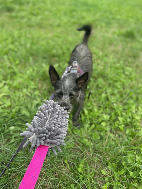 Long Handle Tug Toy For Dogs With Microfiber Plush Bite Training Tool For Serious Chewers used by dog outdoors