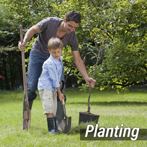 Father and son planting with Round Small Shovel With Wooden D Handle For Digging And Planting, 28 Inch Carbon Steel Garden Shovel
