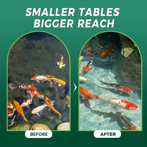 Before and after using Muck Clear Natural Pond Sludge Treatment Tablets For Ponds, Fountains And Bird Baths.
