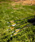 Wrath Archery Arrows 30 Inch Length 340 Spine Carbon Arrows Pack Of 6 For Hunting 3D And Target Practice 2 Inch Fletching