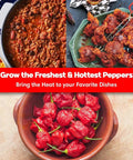 Reaper Ghost Pepper All In One Starter Grow Kit With Seeds And Growing Supplies For Beginners Includes Bhut Jolokia Seeds