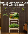 2 Tier Indoor Hydroponics Growing System Kit with 24 Pods and Full Spectrum Grow Lights in use