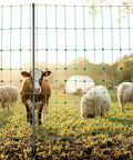 Electric Fence Netting 50 Inch High And 164 Feet Long With Posts And Stakes, Portable Mesh Fence For Goats Sheep Deer Hogs Dogs