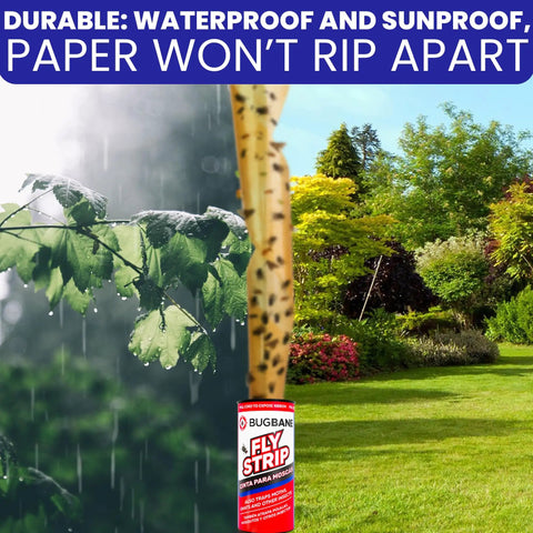 Heavy Duty Indoor Fly Strips With Stainless Hanging Hooks, Odor Free Sticky Bug Tape For Fruit Gnats And Houseflies in a garden setting with rain.