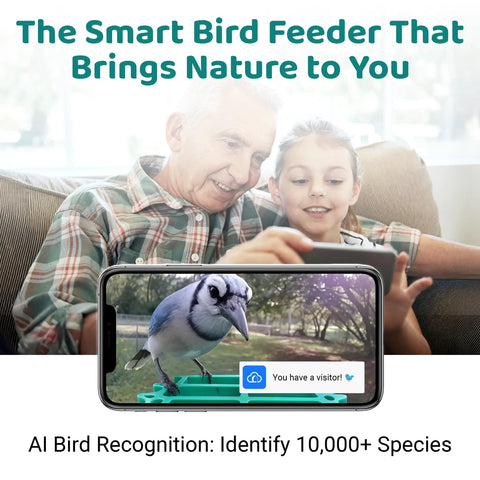 Device displaying Smart Bird Feeder With Camera For Backyard Viewing, 2.5K HD Video, AI Bird Recognition Of 10K Birds