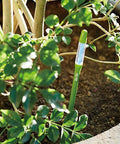 Sustee Aquameter Leave In Soil Moisture Meter Bundle Of 12 For Indoor Houseplants Refillable And No Fuss Read Continuous Soil Moisture Monitoring For 3 To 6 Inch Pots Perfect For Your Greenery. green soil moisture meter in a potted plant