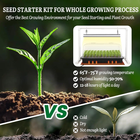 Seed Starter Kit With Grow Light Heat Mat 7 Inch Humidity Dome And 6x12 Cell Tray comparison of optimal vs poor growth conditions