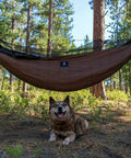 Hideout Hammock Underquilt Full Length hanging in forest with dog sitting underneath, lightweight 4 season quilt for camping