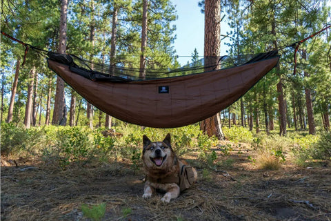 Hideout Hammock Underquilt Full Length hanging in forest with dog sitting underneath, lightweight 4 season quilt for camping