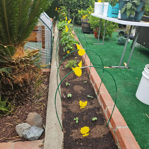Fiberglass Garden Hoops For Raised Beds Pack Of Six Sets 8 Foot Heavy Duty Rust Proof Grow Tunnel Frames For Garden Netting Row Cover Shade Cloth Protect Outdoor Plants Tough As Nails Easy Setup For Greenhouse And Outdoor Gardens