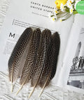 Natural Spotted Pheasant Feathers For Crafts And Jewelry Making, Guinea Fowl Wing Feathers 6-8 Inches, 50 Pack displayed artistically on magazine