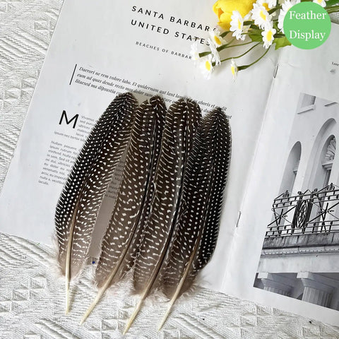 Natural Spotted Pheasant Feathers For Crafts And Jewelry Making, Guinea Fowl Wing Feathers 6-8 Inches, 50 Pack displayed artistically on magazine