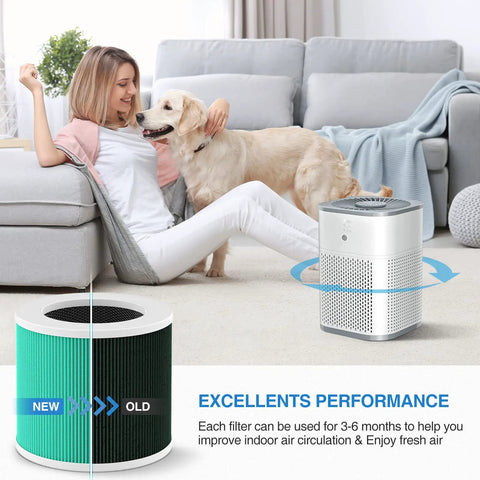 Air Purifier Filter Replacement For CHIVALZ Morento Loytio Honeyuan AYAFATO IOIOW HY1800 Compatible 2 Pack shown in use in a living room.