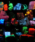 Colorful minerals under Powerful LED Ultraviolet Black Light Flashlight For Detecting Bed Bugs, Pet Stains, Insects, Scorpions