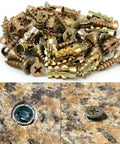 6x14mm Short Expansion Hinge Repair Screws Kit for Cabinet Door Hinges, Stripped Thread Repair for Wood and Particle Board, 100 Pack