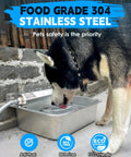 Heavy Duty Automatic Dog Water Dispenser And 2 Gallon Tough As Nails Stainless Steel Pet Water Bowl for a dog drinking water.