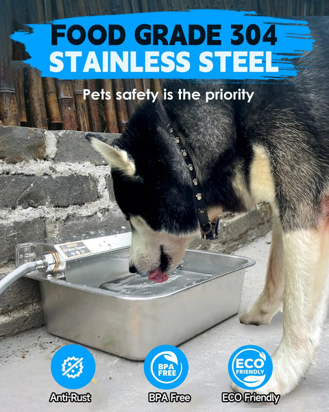 Heavy Duty Automatic Dog Water Dispenser And 2 Gallon Tough As Nails Stainless Steel Pet Water Bowl for a dog drinking water.