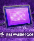 Triple Pack 100W LED Black Lights Flood Lamps with Plug and Switch, 120V IP66 Waterproof Blacklight under rain