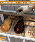 Spacious Backyard Chicken Coop With Walk-In Run And Wheels For 3 To 6 Hens, 95.3 Inch Wooden Hen House showing three-compartment nesting box with dividers