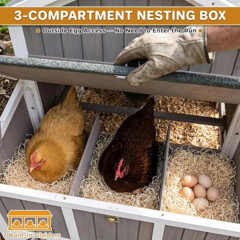 Spacious Backyard Chicken Coop With Walk-In Run And Wheels For 3 To 6 Hens, 95.3 Inch Wooden Hen House showing three-compartment nesting box with dividers