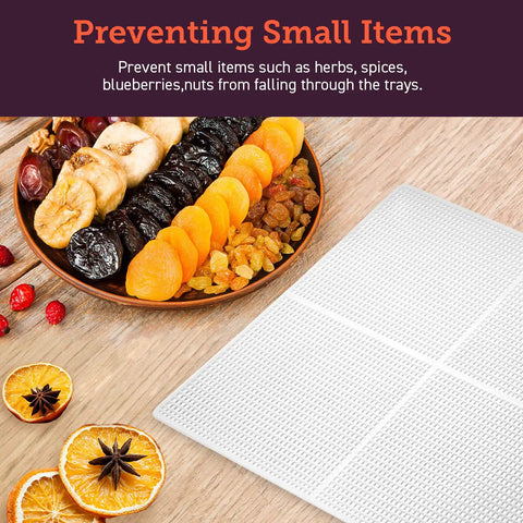 Top Shelf Food Dehydrator With Six Stainless Steel Trays, showing dried fruits and a BPA free mesh screen for smaller items.