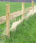 Stainless Steel Wire Rope Cable 1 16th Inch 500 Feet Vinyl Coated Braided 7x7 Core For Outdoor Use in rural fencing setup