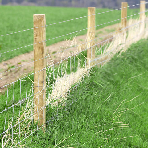 Stainless Steel Wire Rope Cable 1 16th Inch 500 Feet Vinyl Coated Braided 7x7 Core For Outdoor Use in rural fencing setup