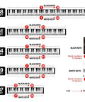 Diagram showing bold large letter piano keyboard stickers for all key sizes 88 61 54 49 37 with note labels for beginners and kids.