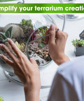 All In One Terrarium Kit With Premium Soil Mix Pumice Zeolite Moss Sphagnum Moss Decorative Stones Mesh And Tools For DIY Terrariums